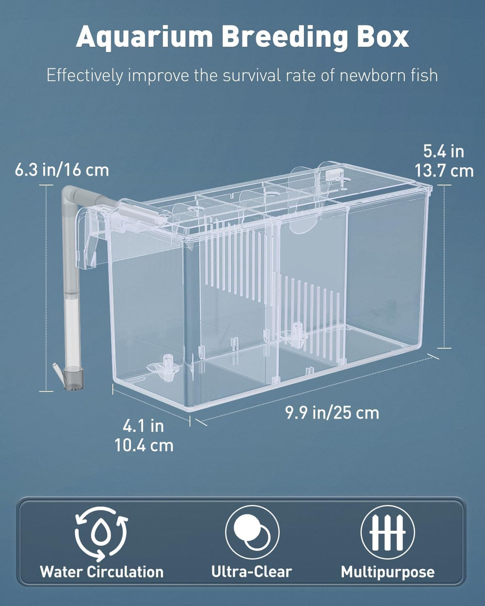 Pawfly gros plan acrylique, résistance et transparence pour observation