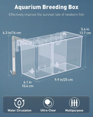Pawfly gros plan acrylique, résistance et transparence pour observation