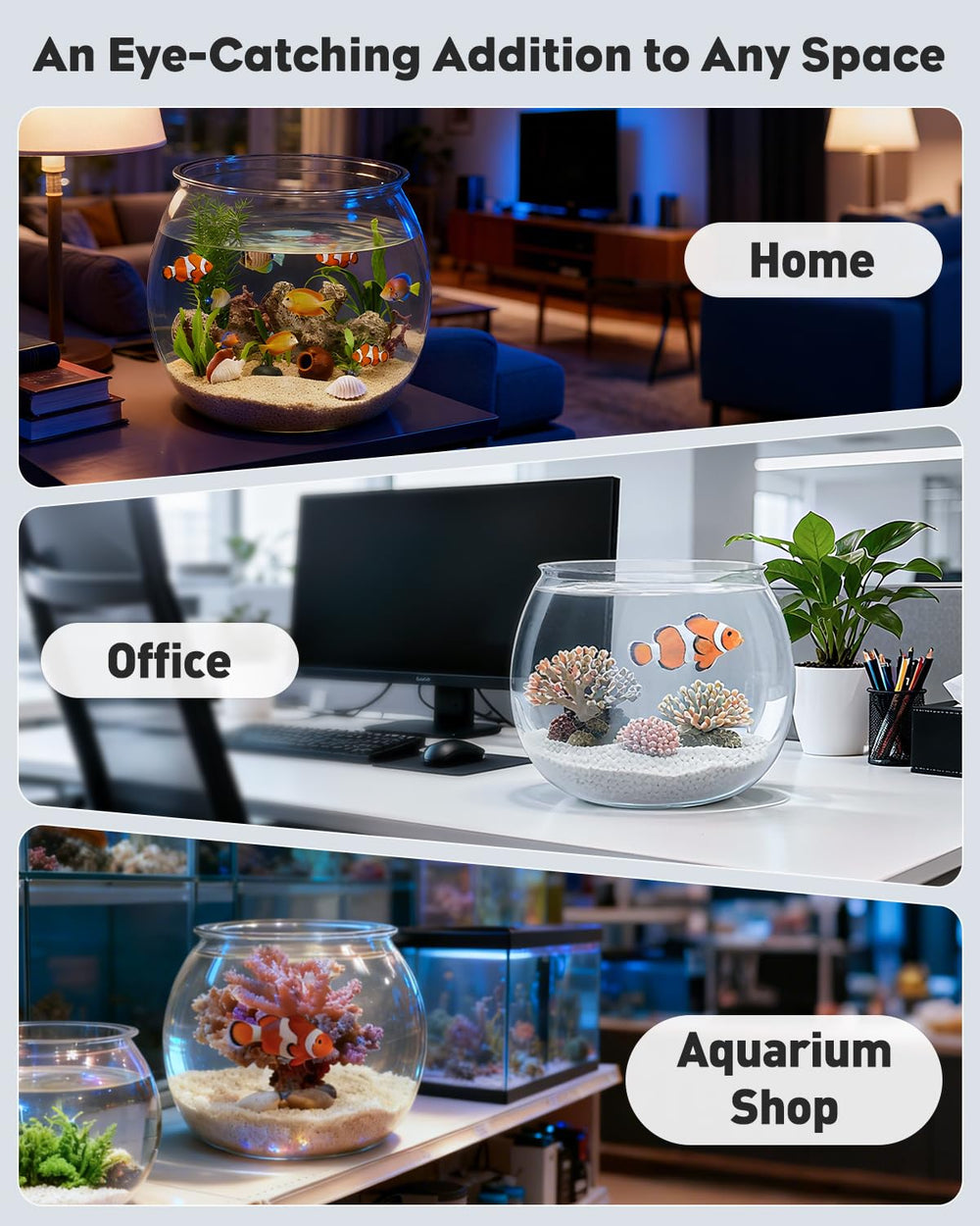 Pawfly bocal utilisé comme vase décoratif, ajoute élégance à la table