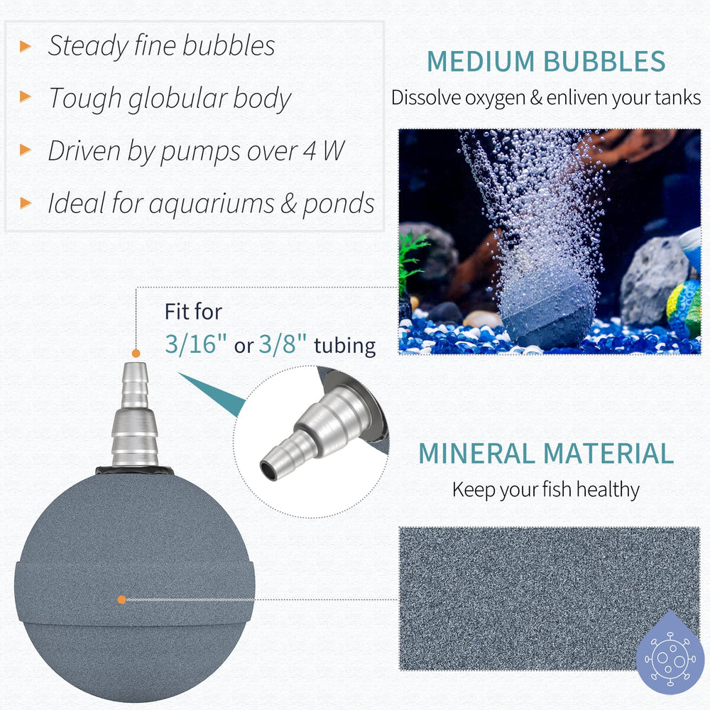 Pawfly en aquarium montrant bulles régulières et circulation améliorée