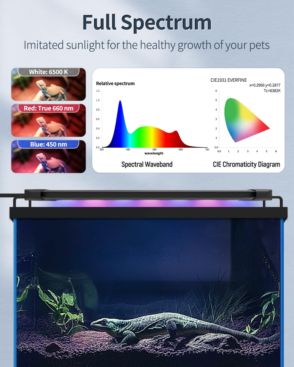 Pawfly comparaison taille avec règle montrant compatibilité dimensions compactes