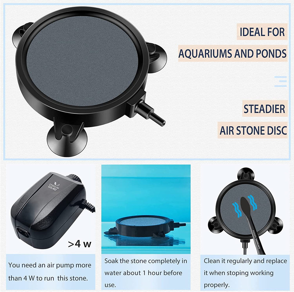 Pawfly comparaison taille avec règle indiquant dimensions compactes