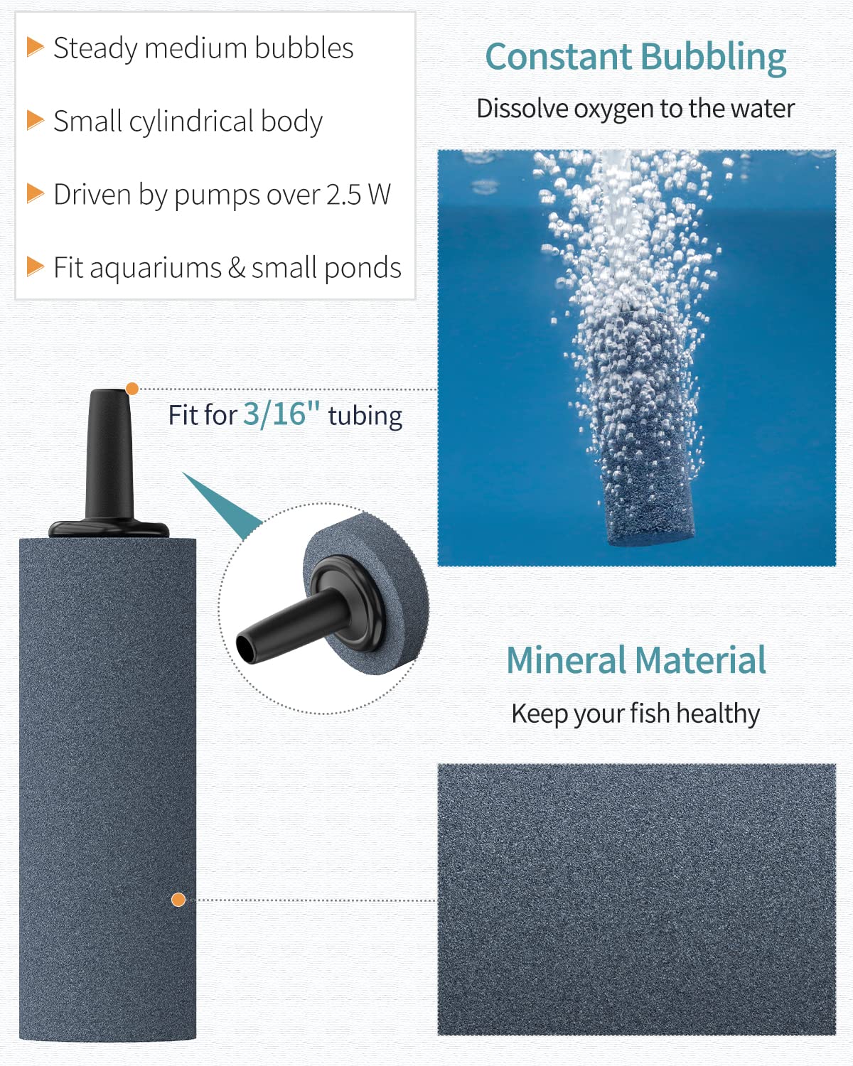 Pawfly comparaison de taille avec règle illustrant dimensions compactes