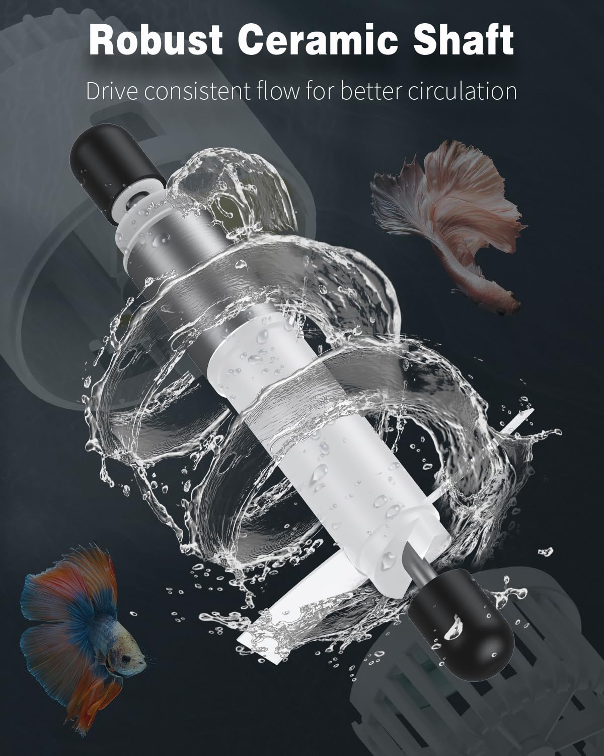 Pawfly comparaison taille montrant échelle pour aquariums jusqu’à 50 gallons