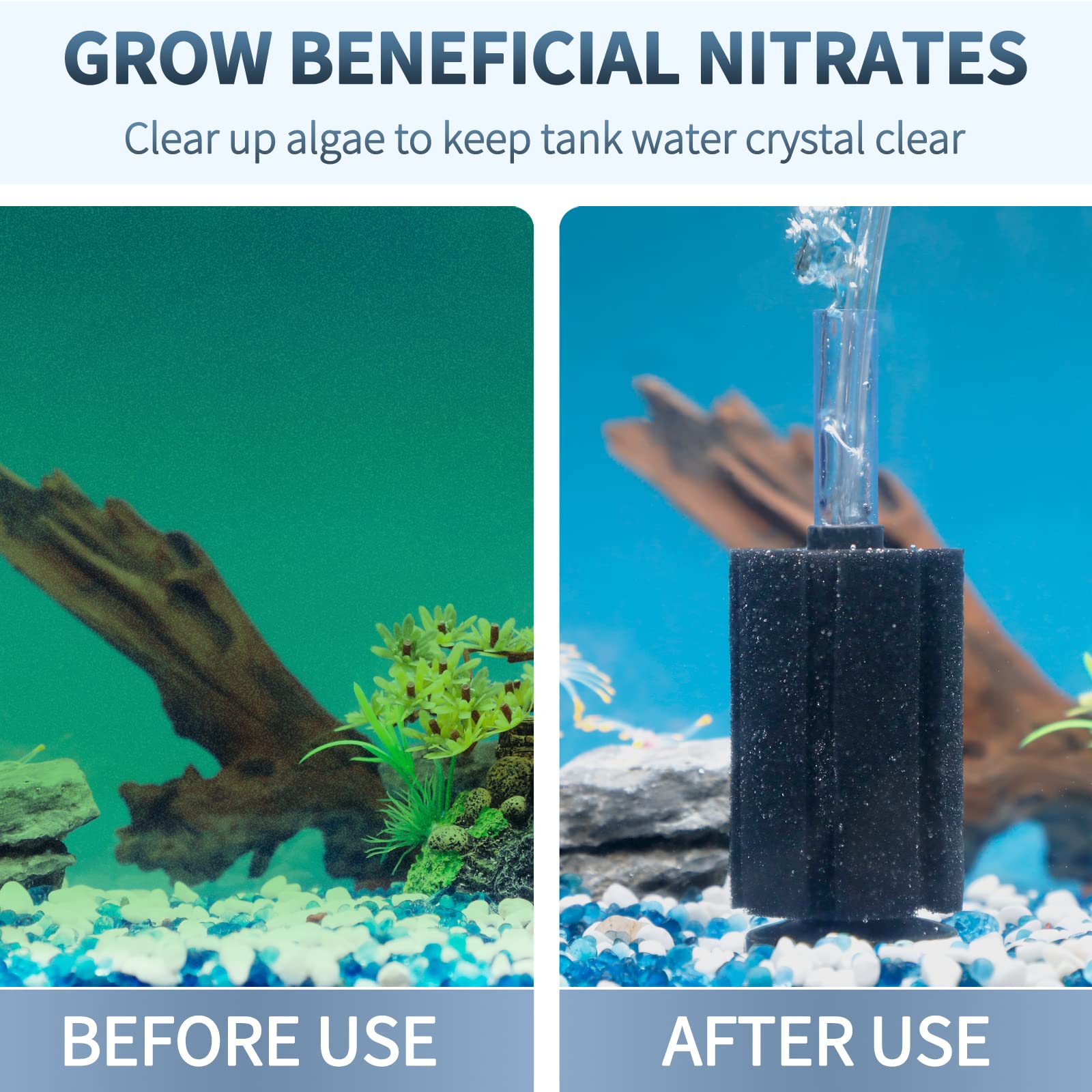 Pawfly gros plan mousse fine montrant pores pour colonisation bactérienne bénéfique