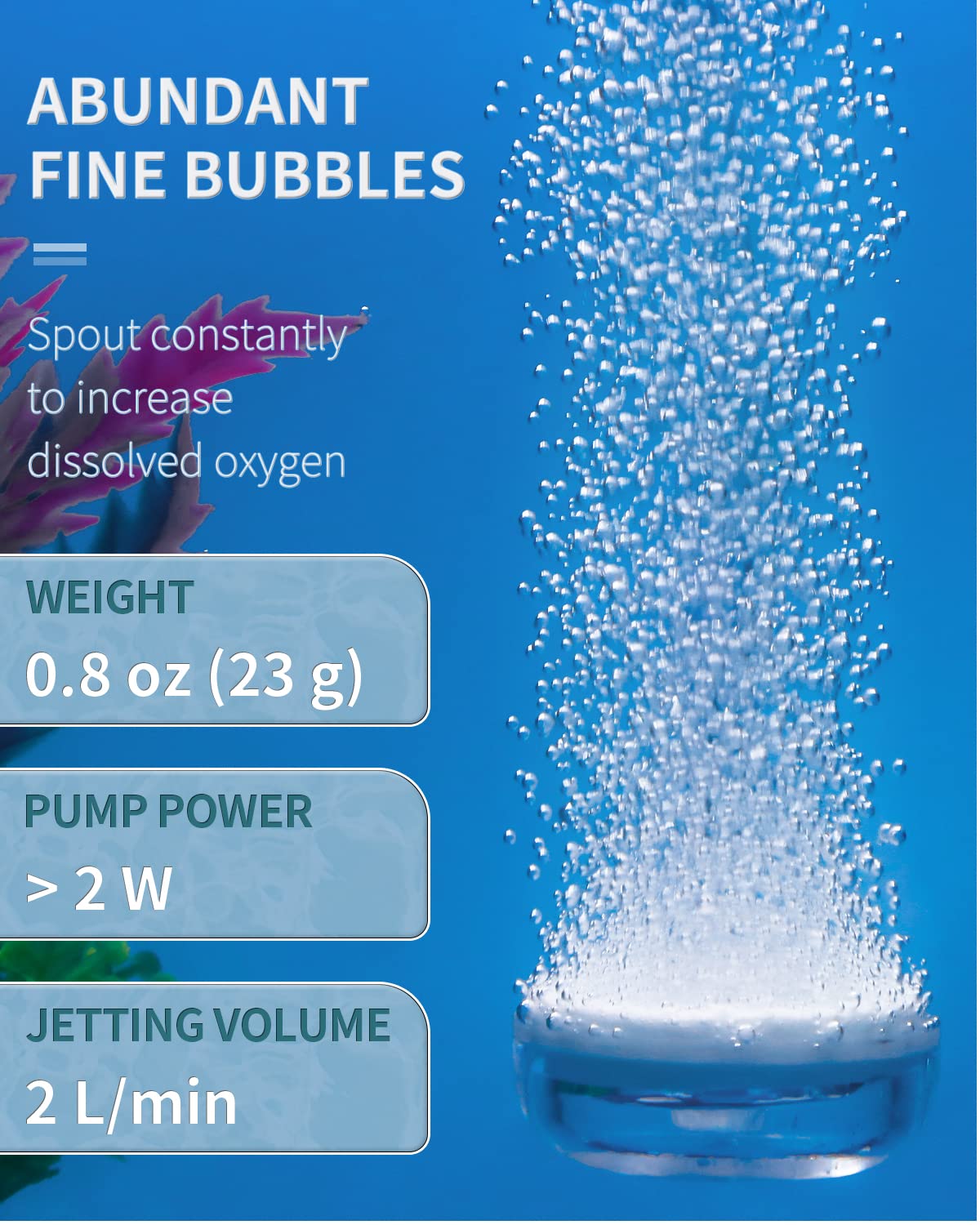Pawfly gros plan sur la texture poreuse du diffuseur pour diffusion fine