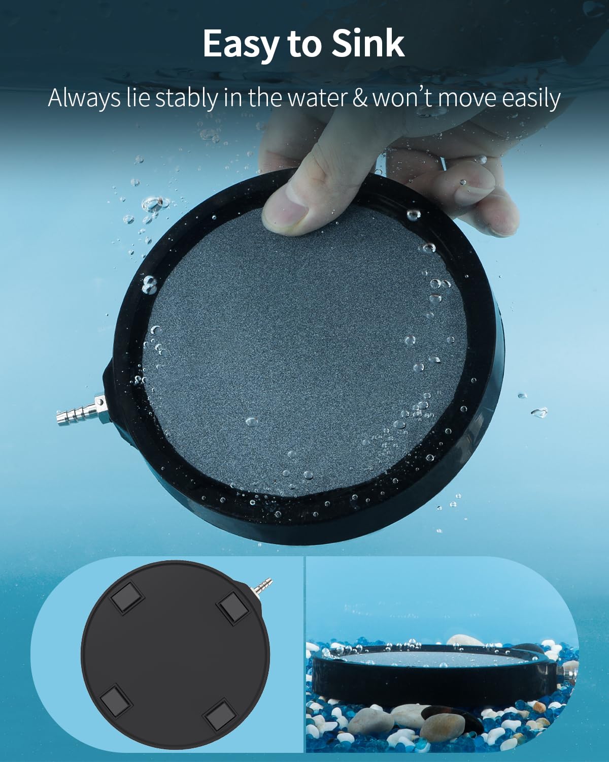Pawfly disque comparé à règle pour indiquer taille 5,2 pouces