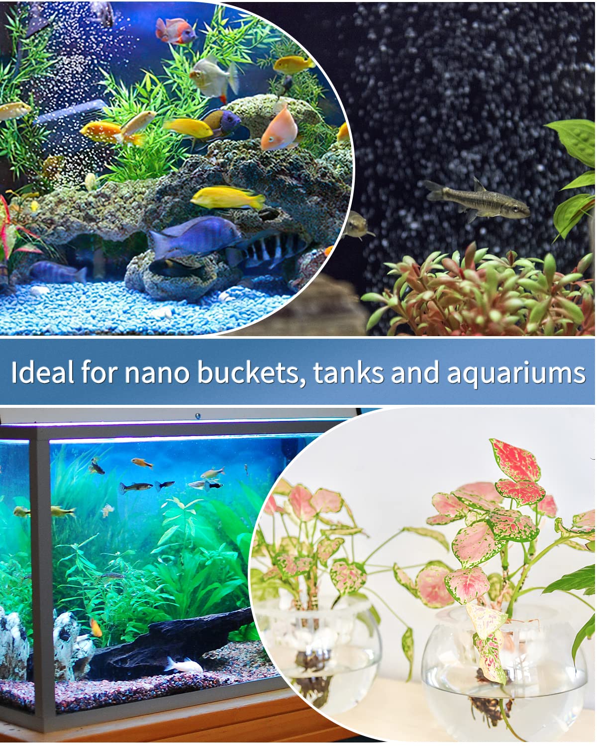 Pawfly colonne de bulles créant une esthétique aquatique et meilleure oxygénation
