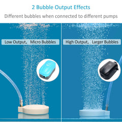 Pawfly disque en fonctionnement dans aquarium produisant bulles fines et oxygénation