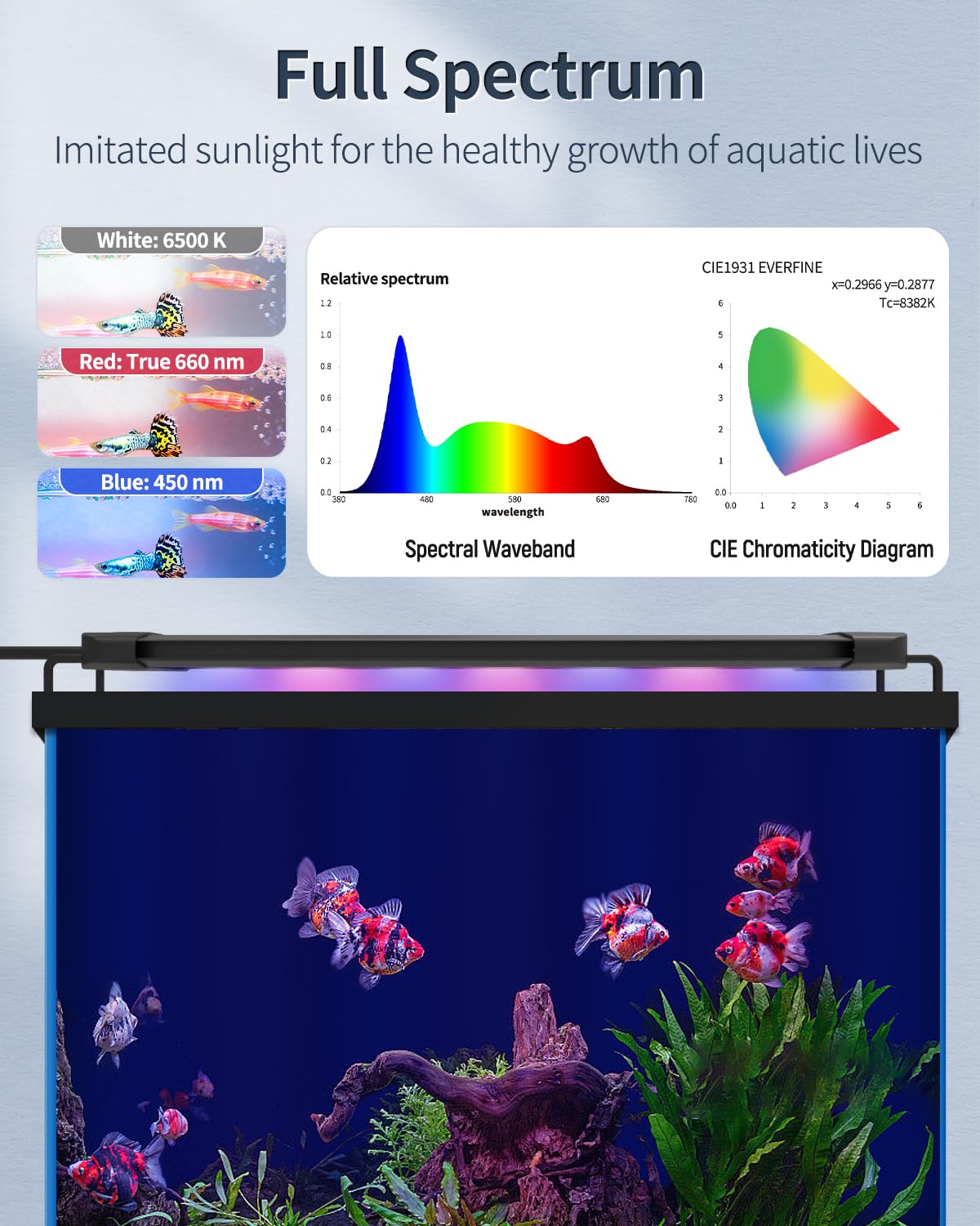 Pawfly lampe posée sur aquarium dans salon ajoutant esthe9tique