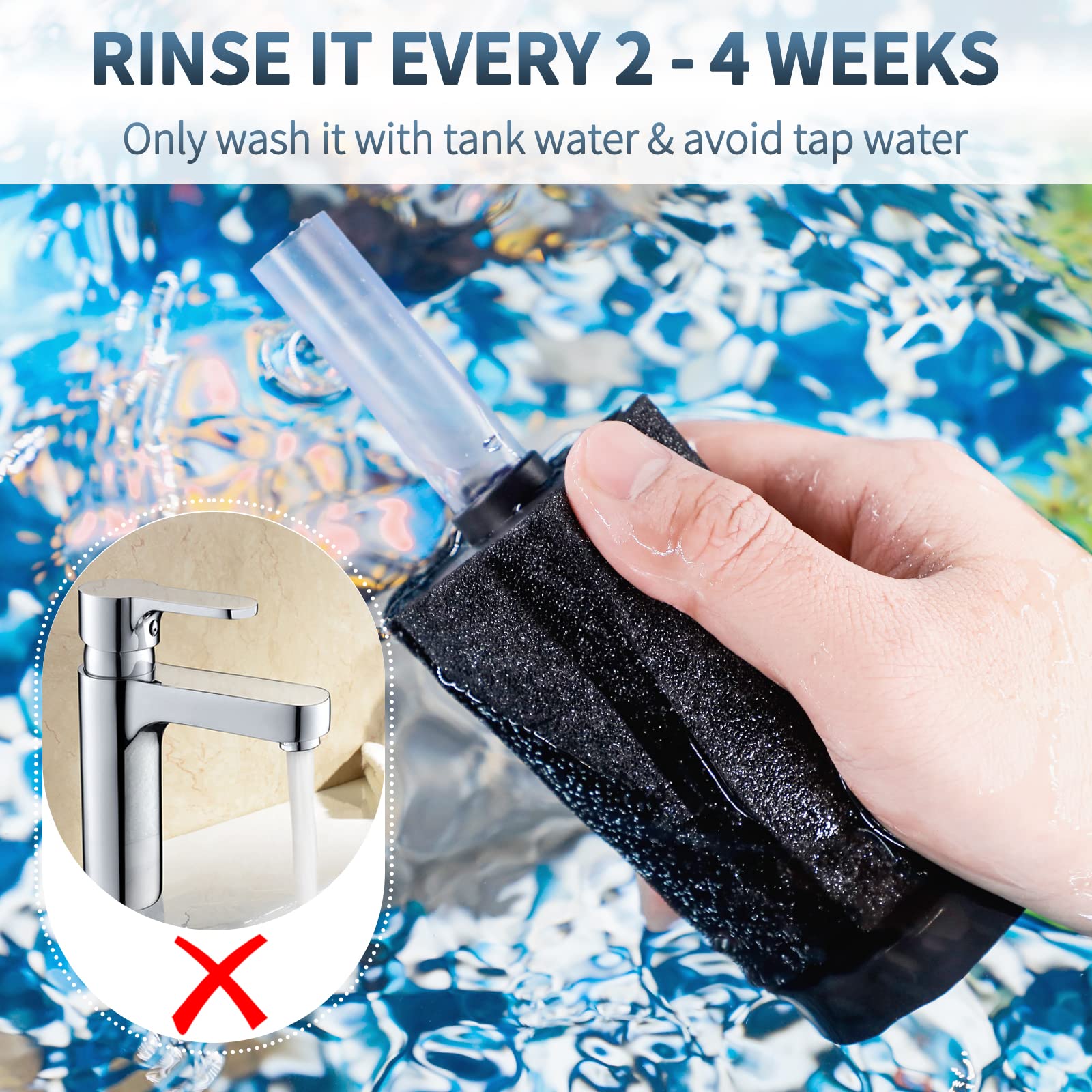 Pawfly filtre installé dans aquarium avec crevettes illustrant protection des petites espèces
