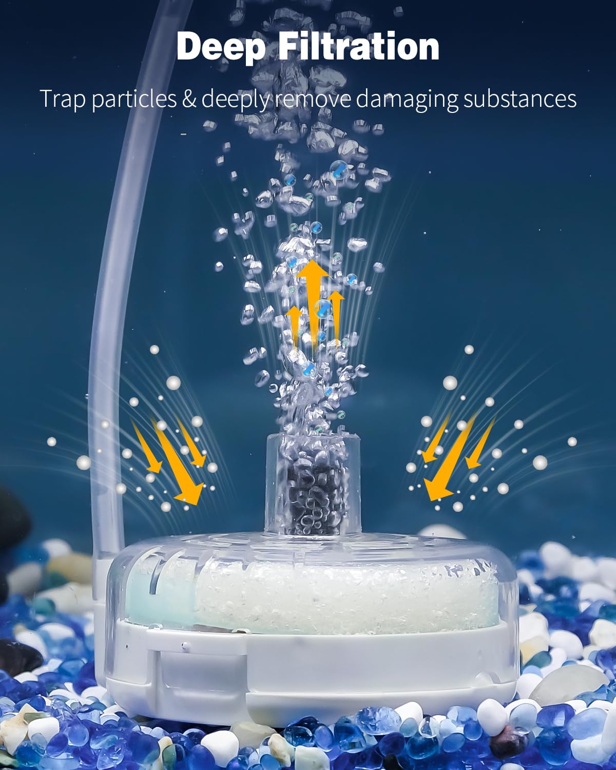 Pawfly filtre installé montrant l’échelle et l’adaptation aux petits aquariums