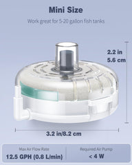 Pawfly gros plan de la mousse filtrante démontrant capture efficace des impuretés