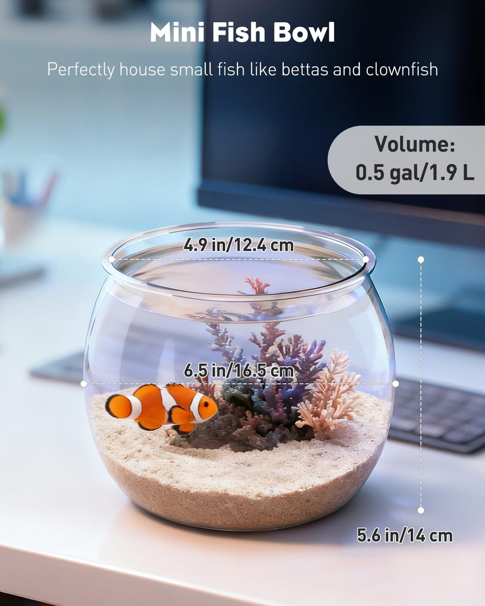 Pawfly bocal décoré en vase ou bonbonnière pour polyvalence décorative
