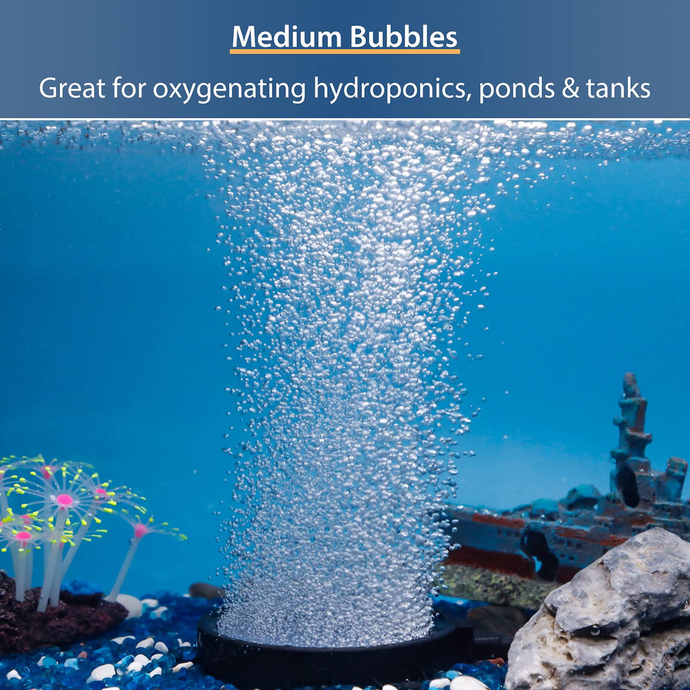 Pawfly gros plan sur texture frittée montrant diffusion uniforme des bulles
