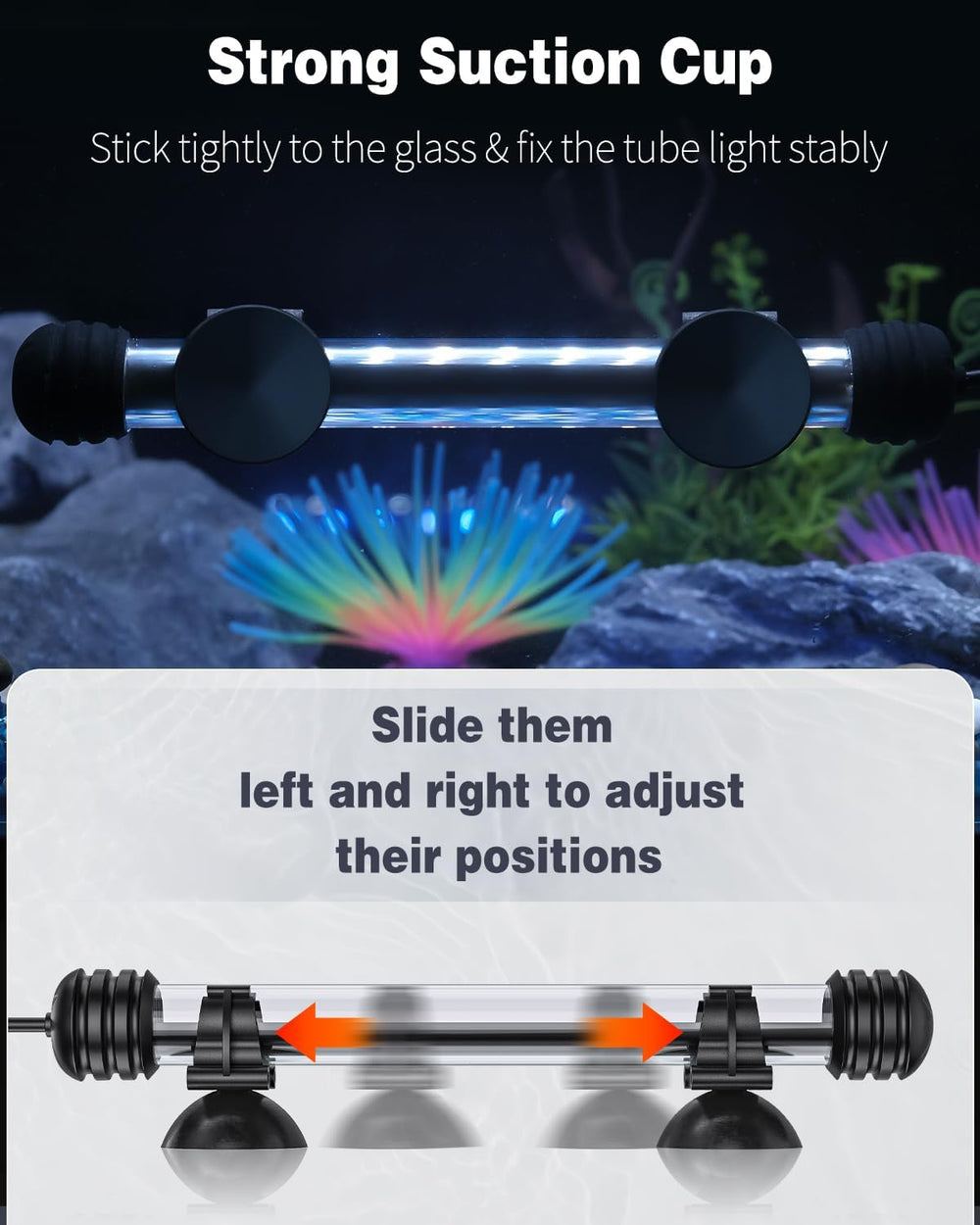 Pawfly rendu des effets couleurs multicolores mettant en valeur poissons