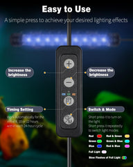 Pawfly lampe en utilisation dans un aquarium décoratif améliorant l'esthétique