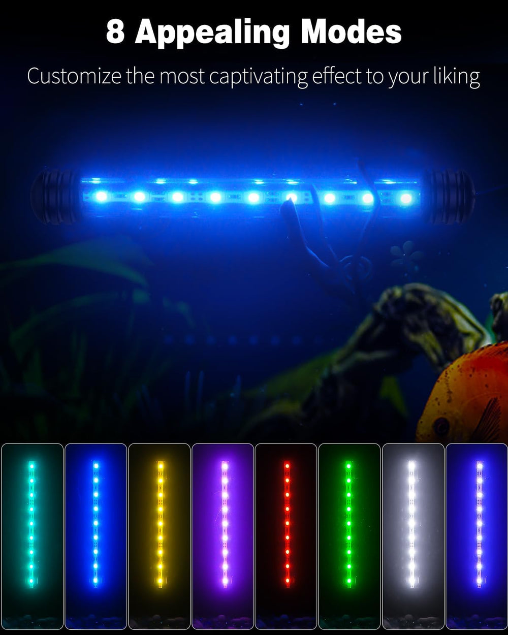 Pawfly gros plan sur LED multicolores révélant détails lumineux et qualité