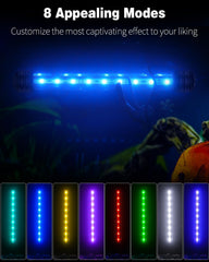 Pawfly gros plan sur LED multicolores révélant détails lumineux et qualité