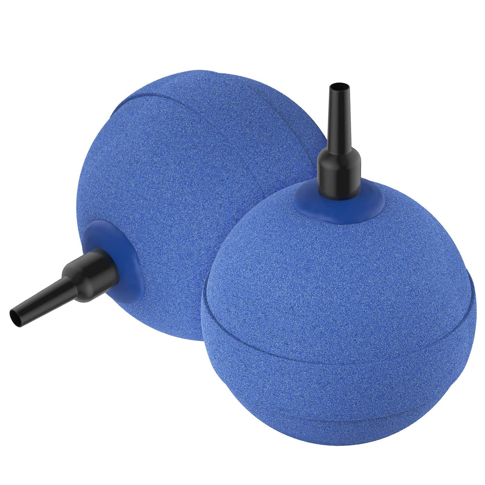 Pierre Pawfly dans bassin soutenant circulation pour plantes