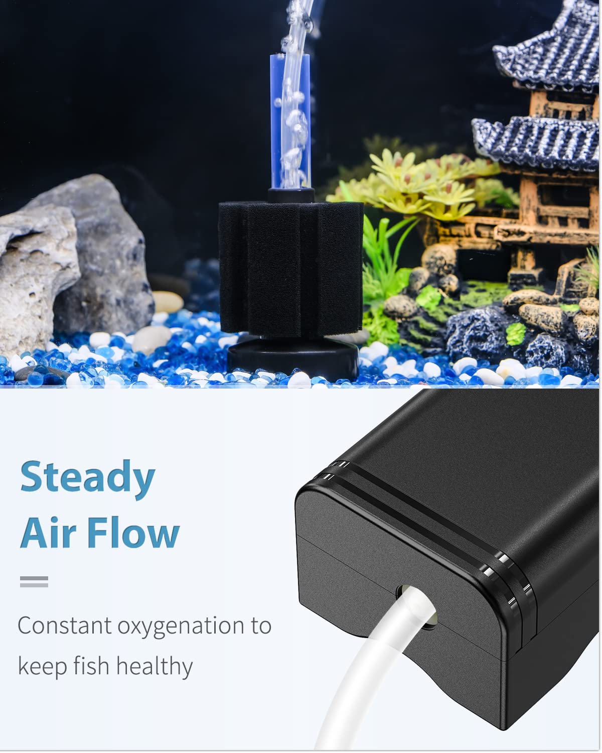 Pawfly mise en situation aquarium nano améliorant environnement aquatique