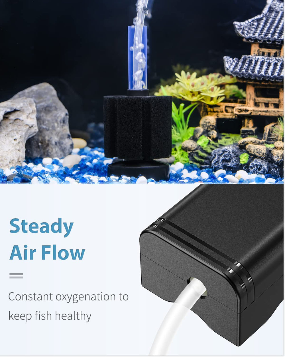 Pawfly mise en situation aquarium nano améliorant environnement aquatique