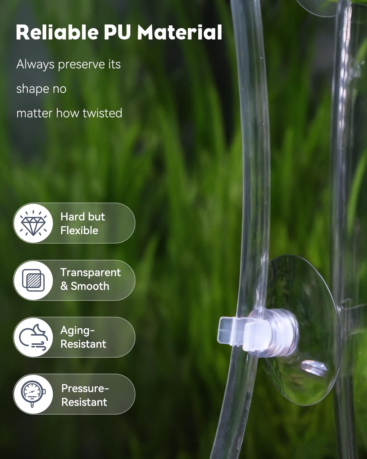 Pawfly ventouse fixant le tubing sur paroi, maintien sécurisé
