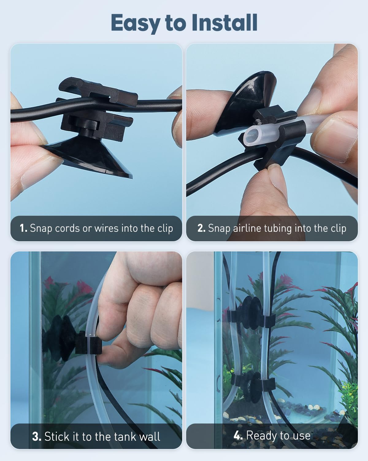Pawfly ventouse fixée sur vitre d'aquarium pour une présentation soignée