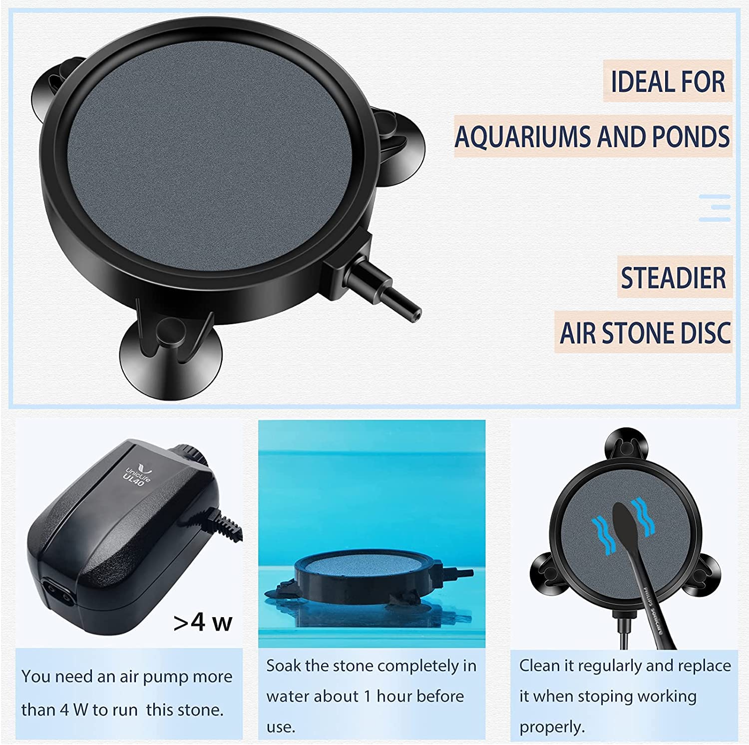 Pawfly ventouses fixées sur fond d'aquarium assurant stabilité