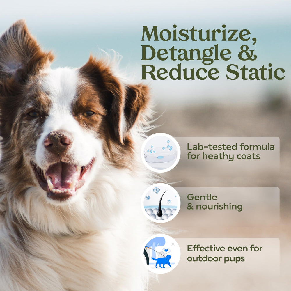 PAWFUME gros plan buse fine pour brume uniforme et application précise