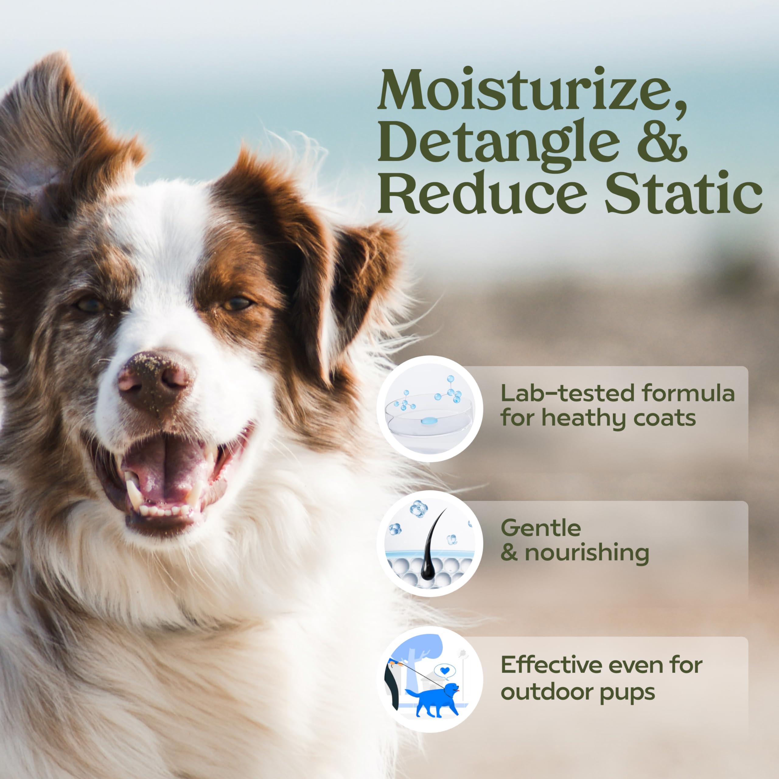 PAWFUME vaporisateur gros plan avec buse fine pour application précise