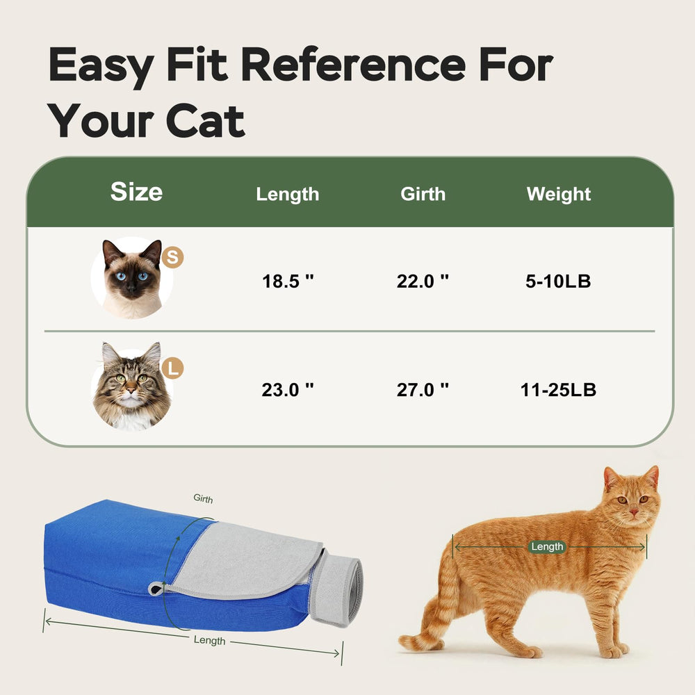Pawfun en contexte transport montrant calme du chat pour déplacement sécurisé