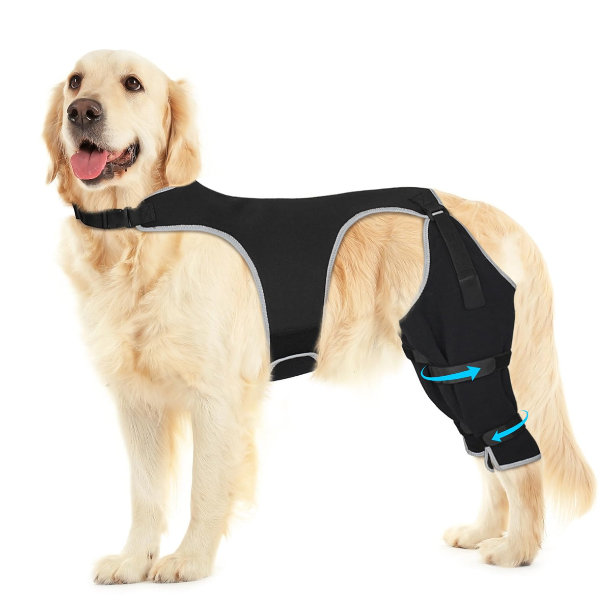 Pawfun image du packaging avant montrant protection et confort