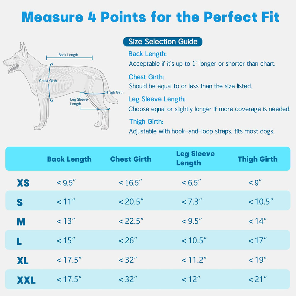 Pawfun comparaison de taille montrant échelle pour choisir la bonne taille