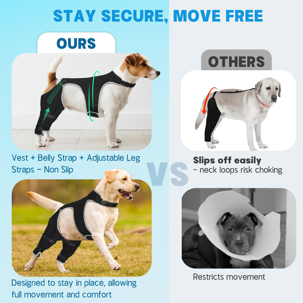 Pawfun sangles réglables illustrant maintien stable et ajustement