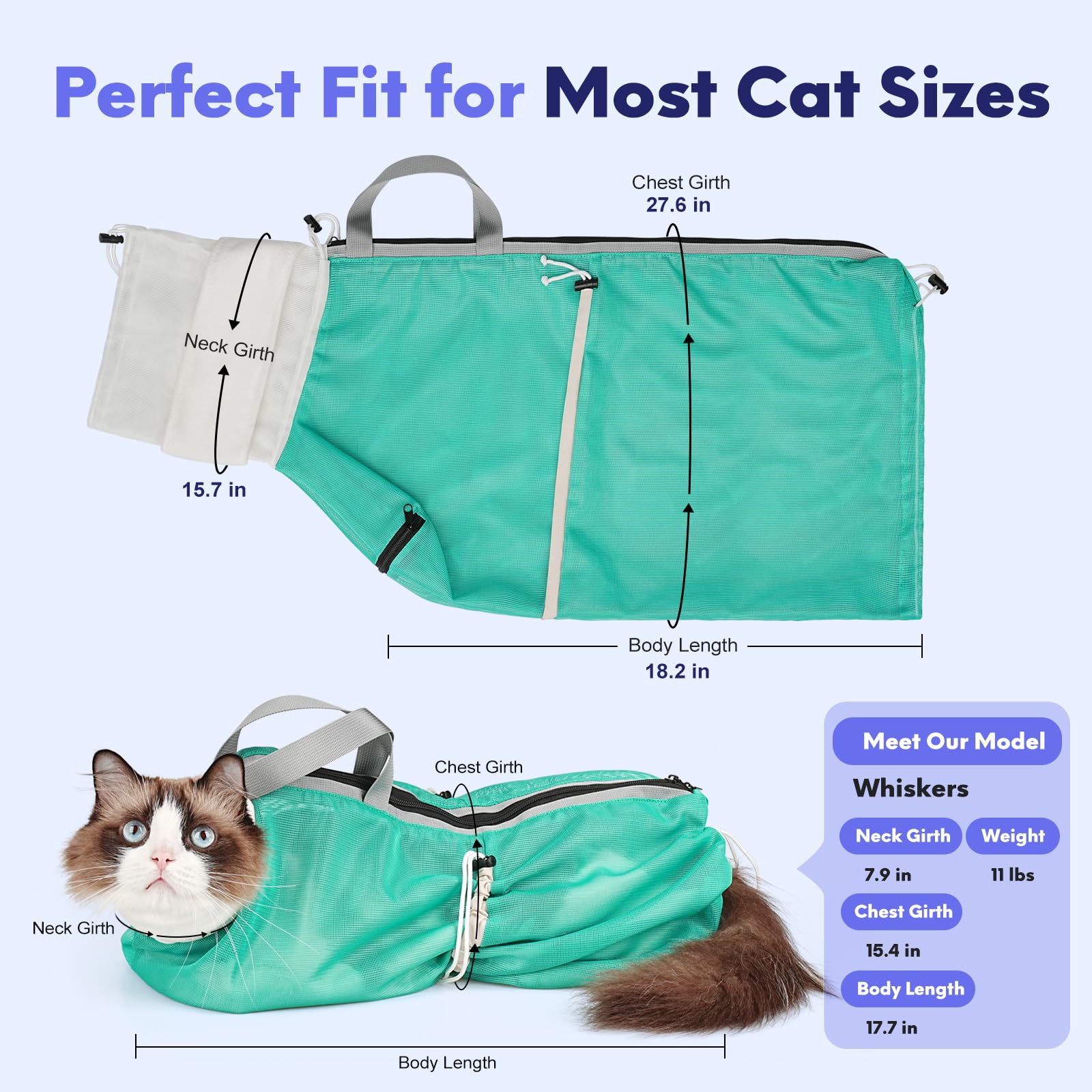 Pawfun sac posé à côté d’un chat pour évaluer la taille