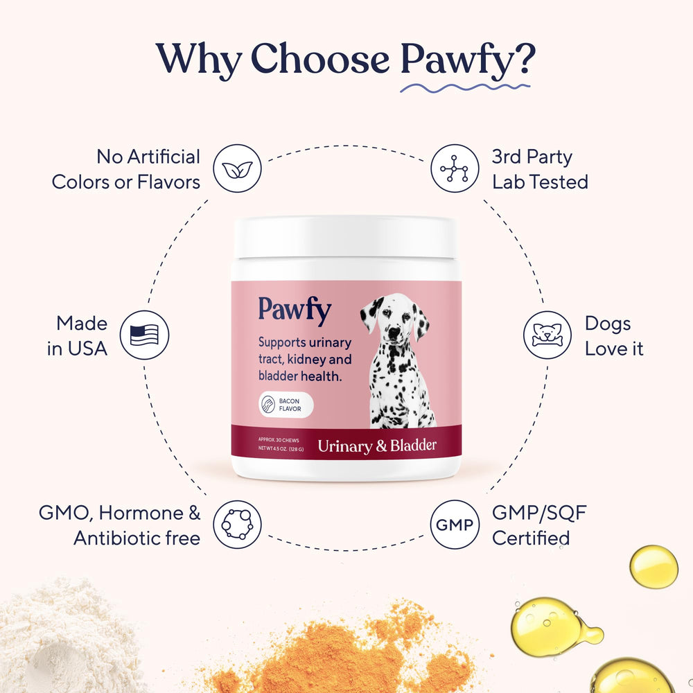 Pawfy chien heureux en extérieur illustrant vitalité et confort urinaire