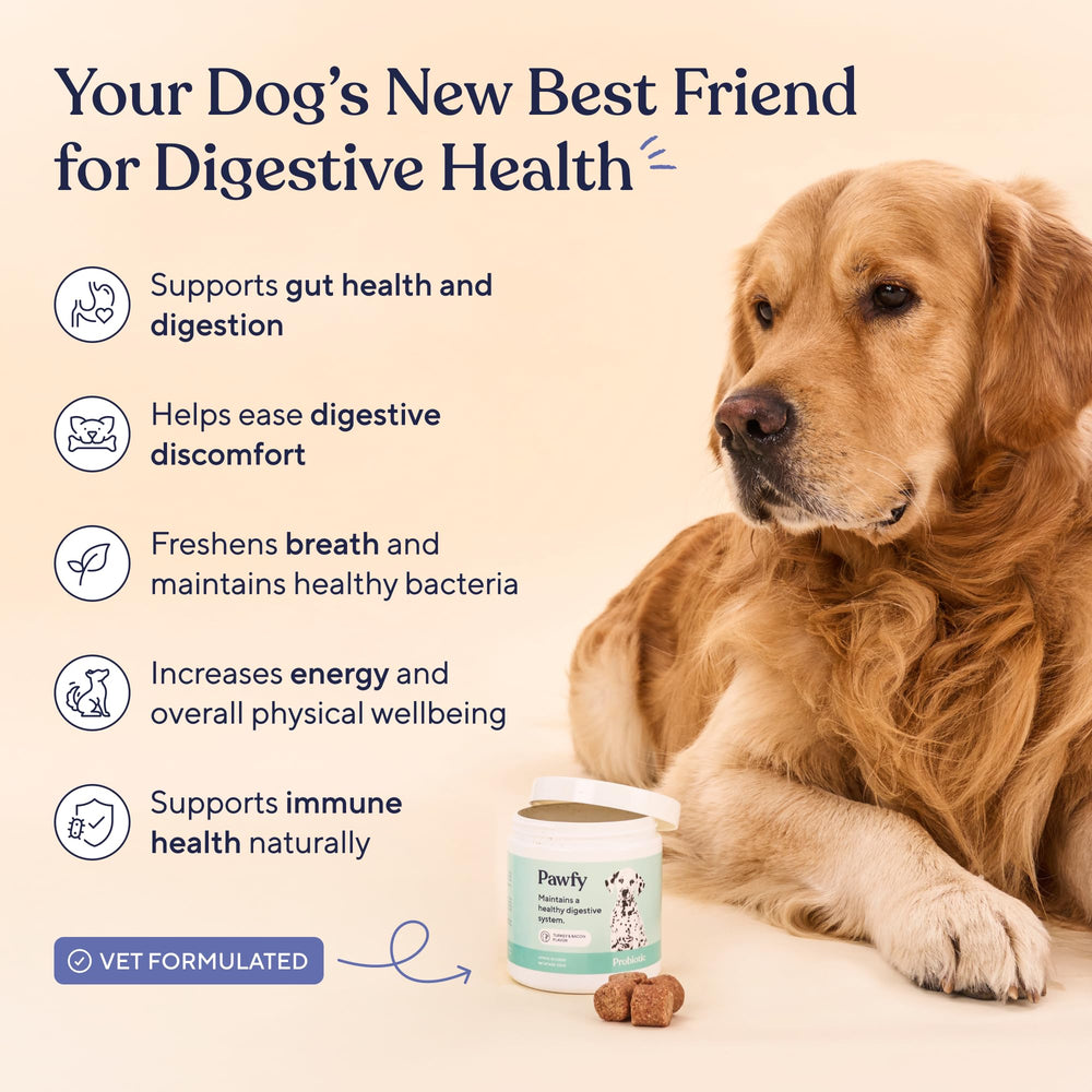 Pawfy friandise gros plan texturée indiquant appétence et qualité