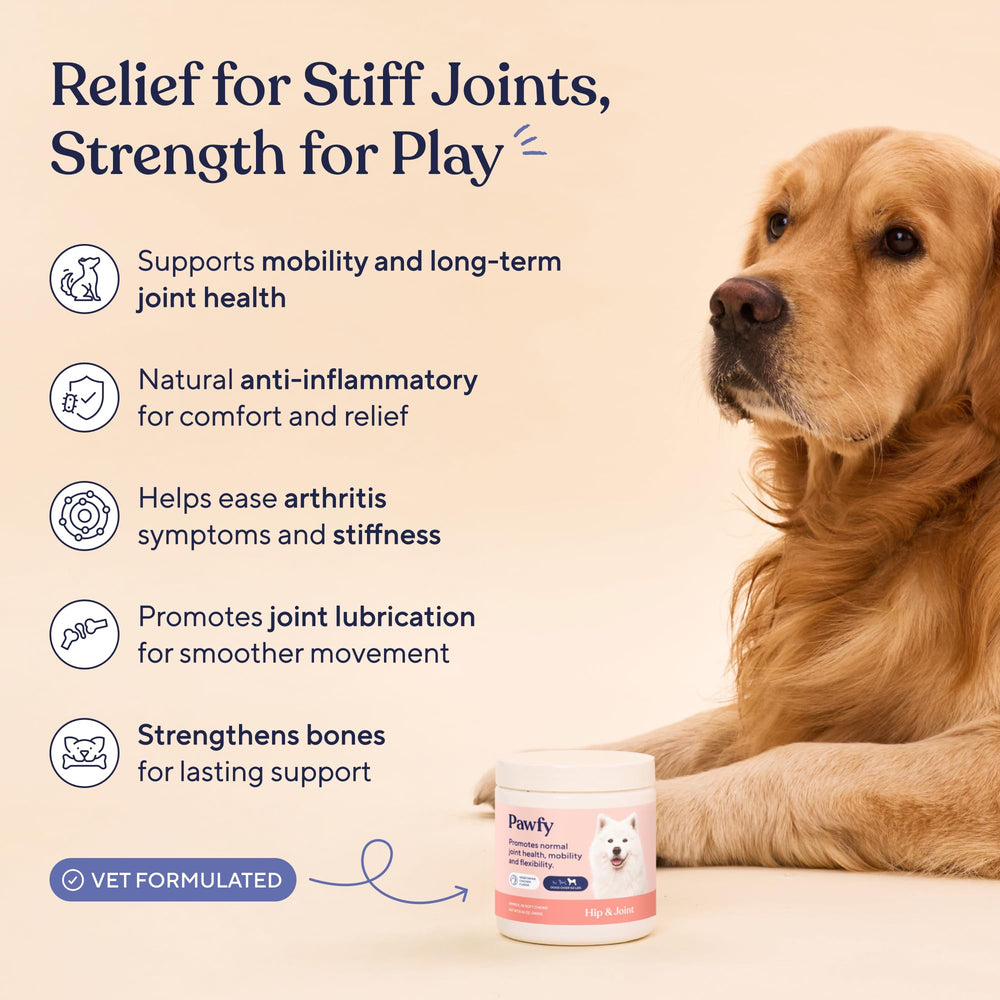 Pawfy friandise gros plan illustrant la forme et appétence
