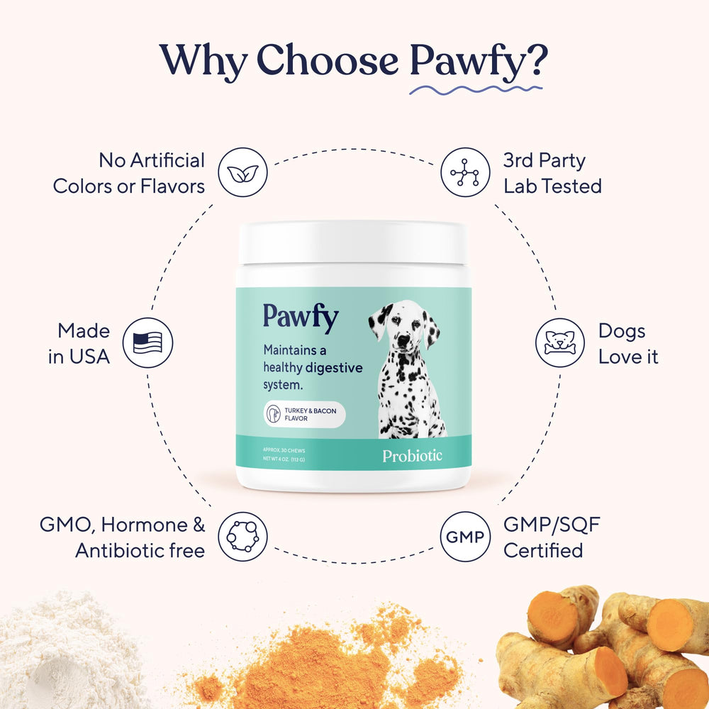 Pawfy lifestyle chien heureux après supplémentation pour confort peau