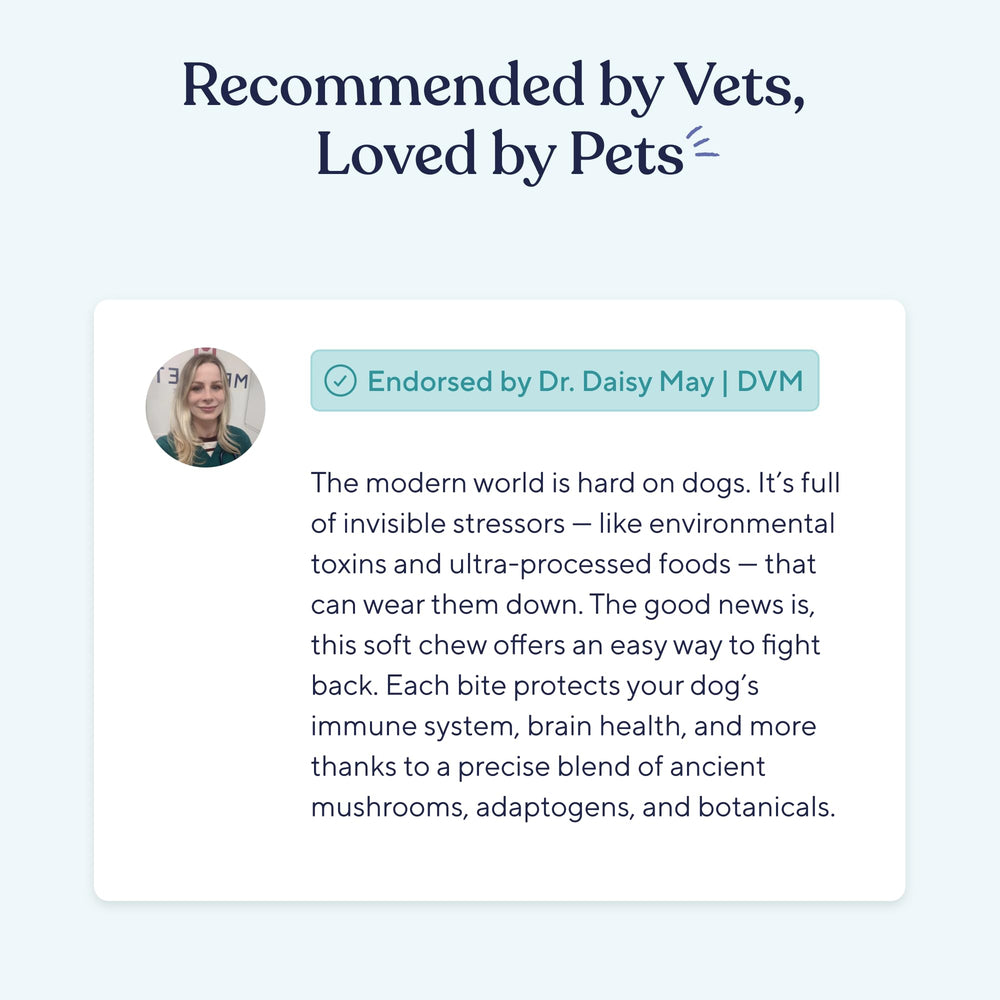 Profil latéral du packaging Pawfy mettant en évidence l'information produit