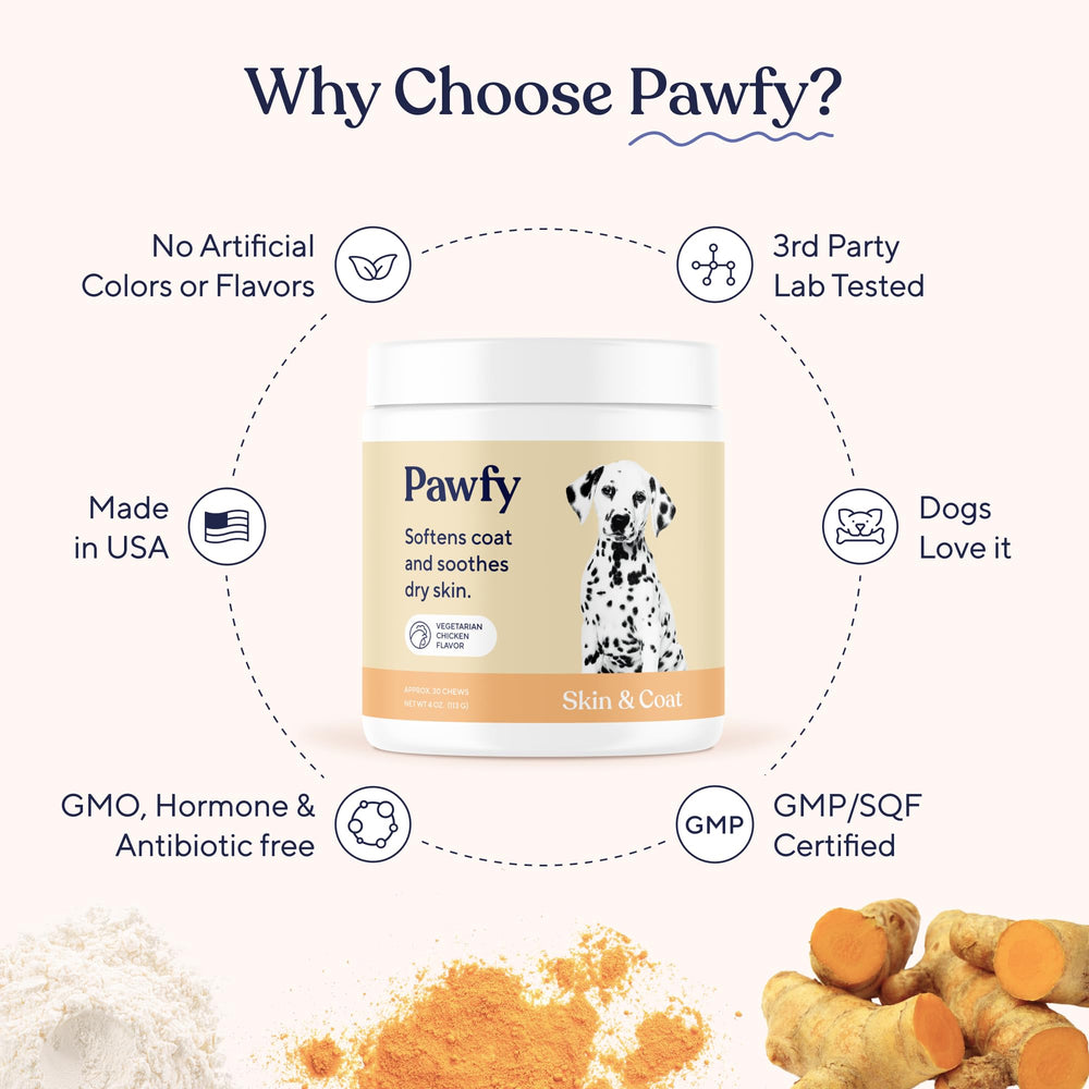 Pawfy style de vie chien heureux montrant pelage brillant bénéfice
