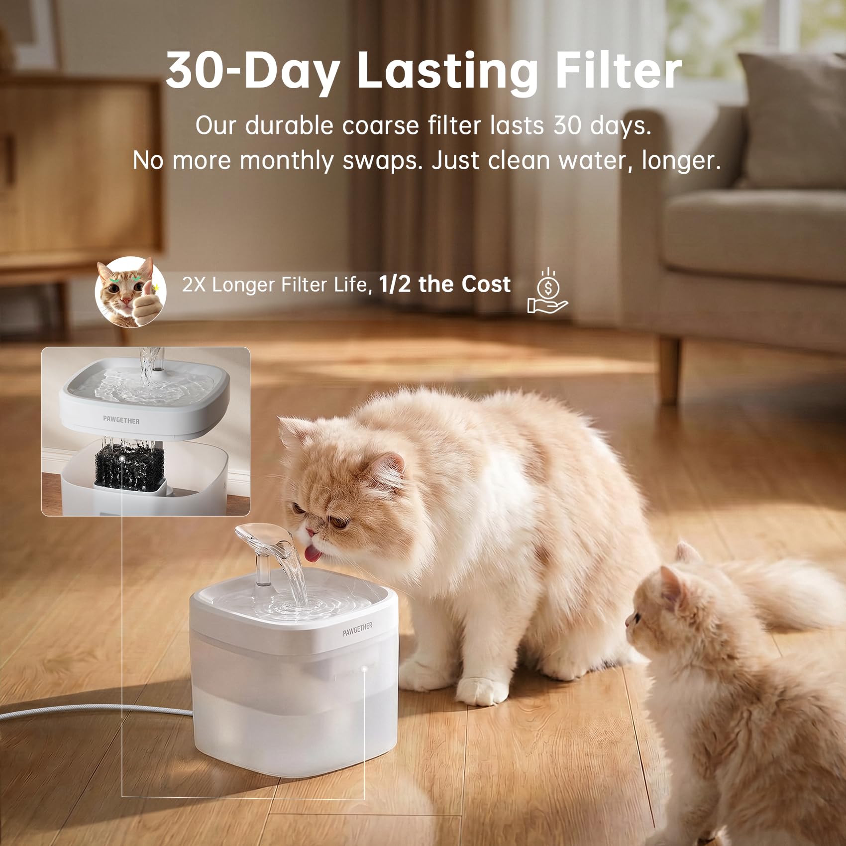PAWGETHER branchée sur batterie portable indique usage nomade et autonome