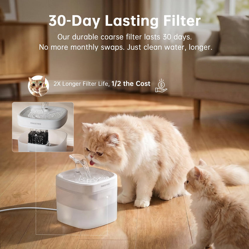 PAWGETHER branchée sur batterie portable indique usage nomade et autonome