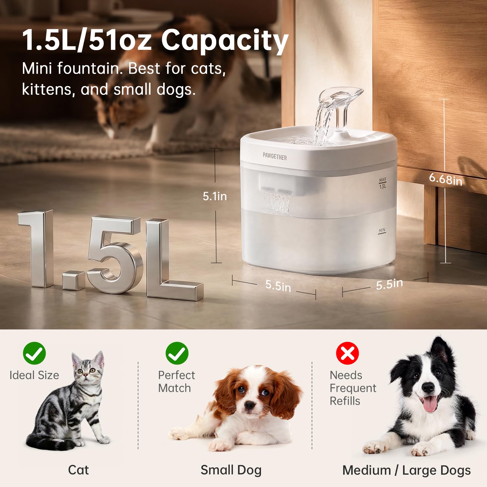 PAWGETHER filtre maillage près montre capture poils et débris efficace