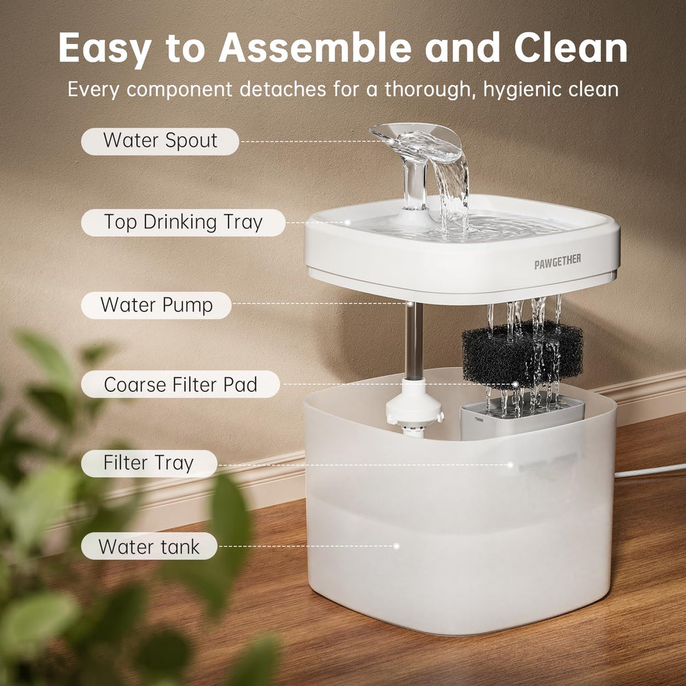 PAWGETHER comparaison taille avec main prouve compacité et portabilité