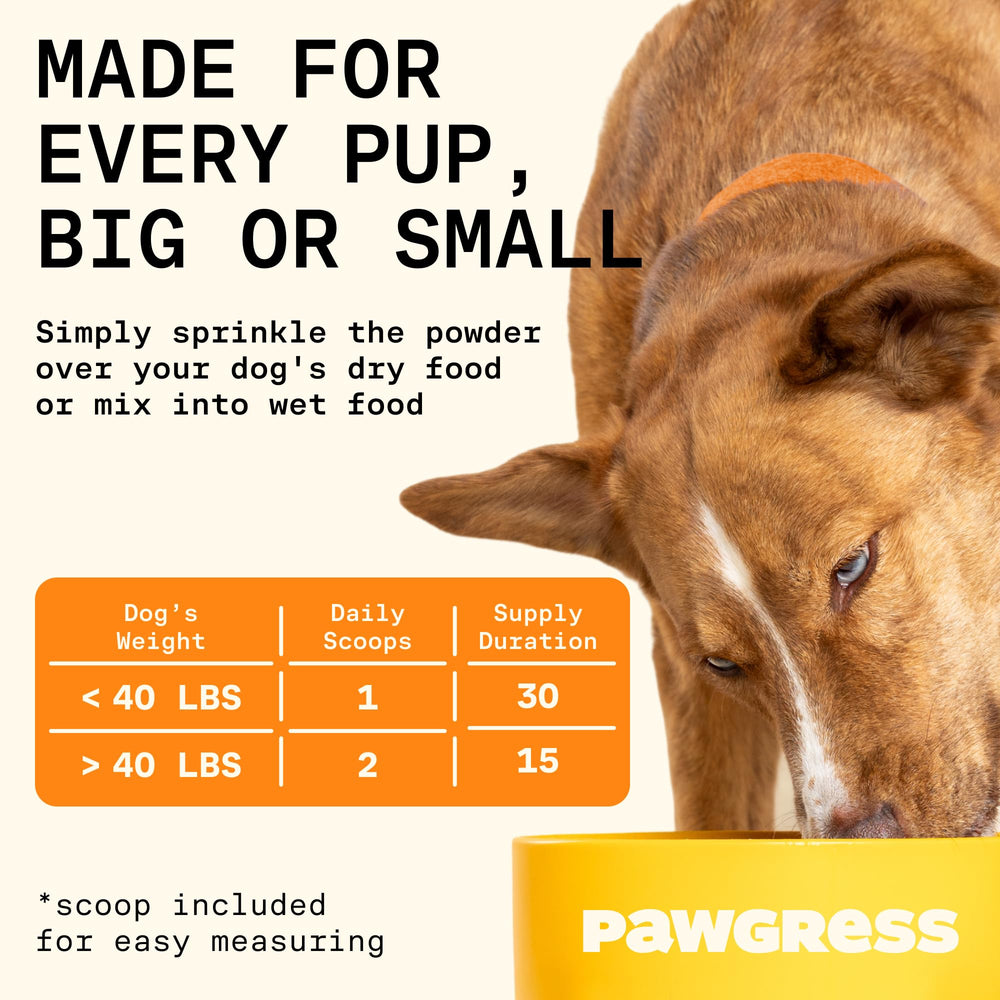 PAWGRESS pot à côté d'un chien pour montrer l'échelle et la portion quotidienne