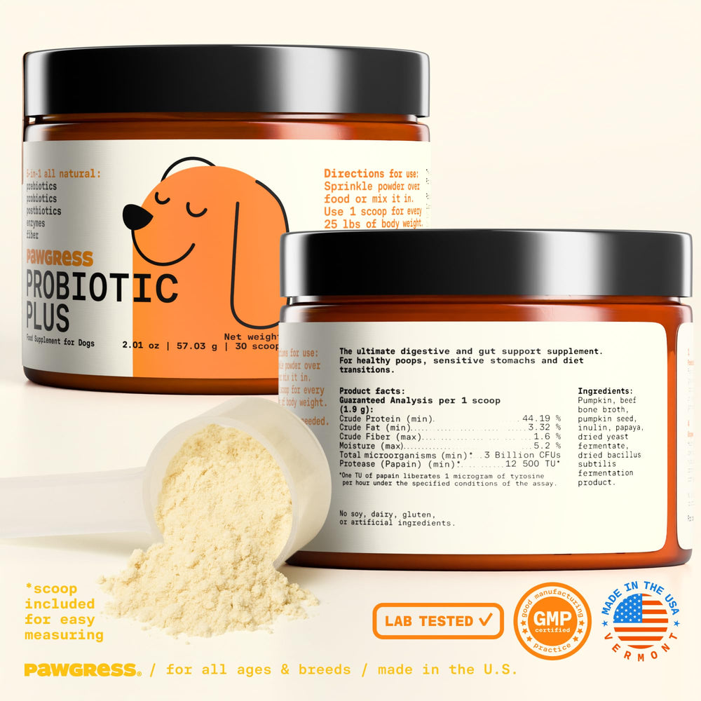 PAWGRESS chien en famille après prise, suggérant confort digestif et bien-être