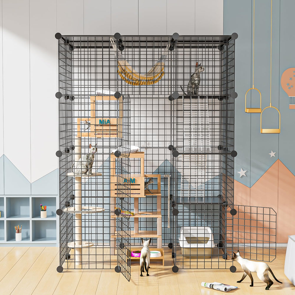 PAWING comparaison d'échelle montrant les dimensions et proportion
