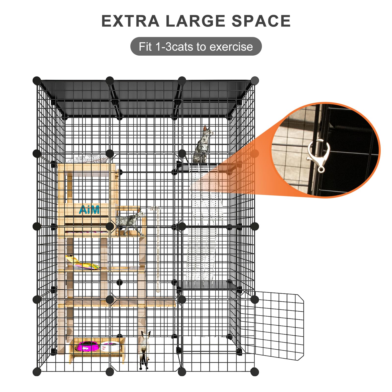 PAWING enclos installé en extérieur pour exercice et observation